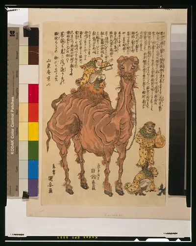 Rakuda no zu