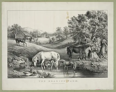 The Grazing Farm