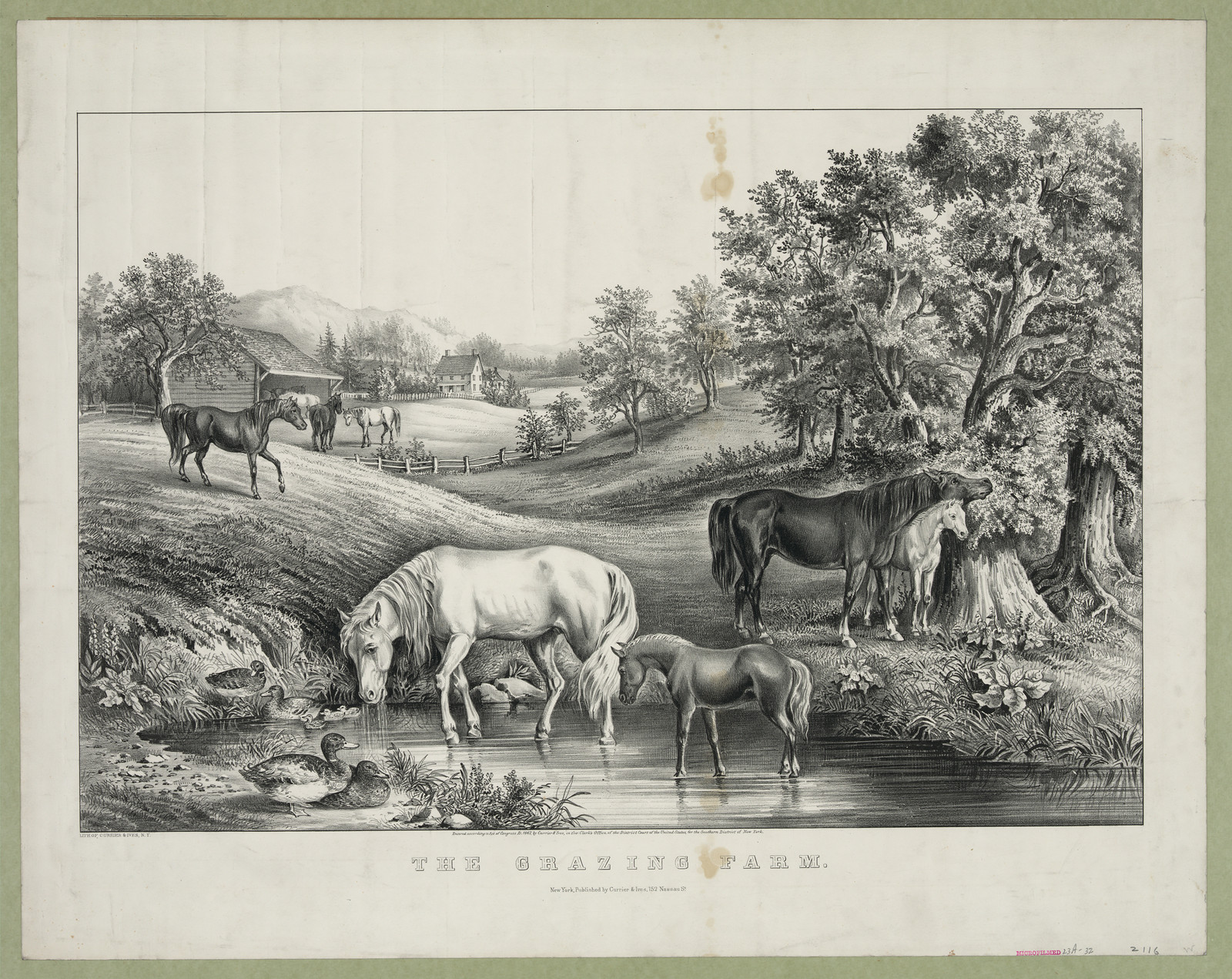 The Grazing Farm — historic image