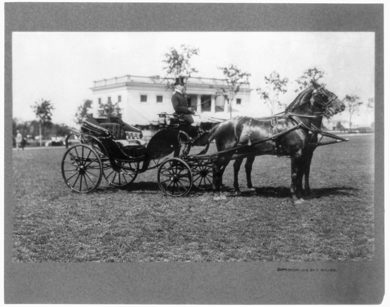 A carriage drawn by two horses, c1904. — historic photograph
