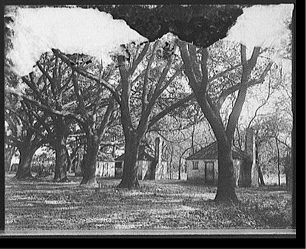 [The Hermitage, slave quarters, Savannah, Ga.], [1907?] — historic photograph