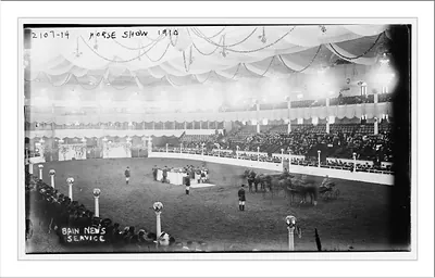 Horse Show
