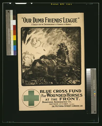 Our Dumb Friends League. A society for the encouragement of kindness to animals. Blue Cross fund for wounded horses at the front