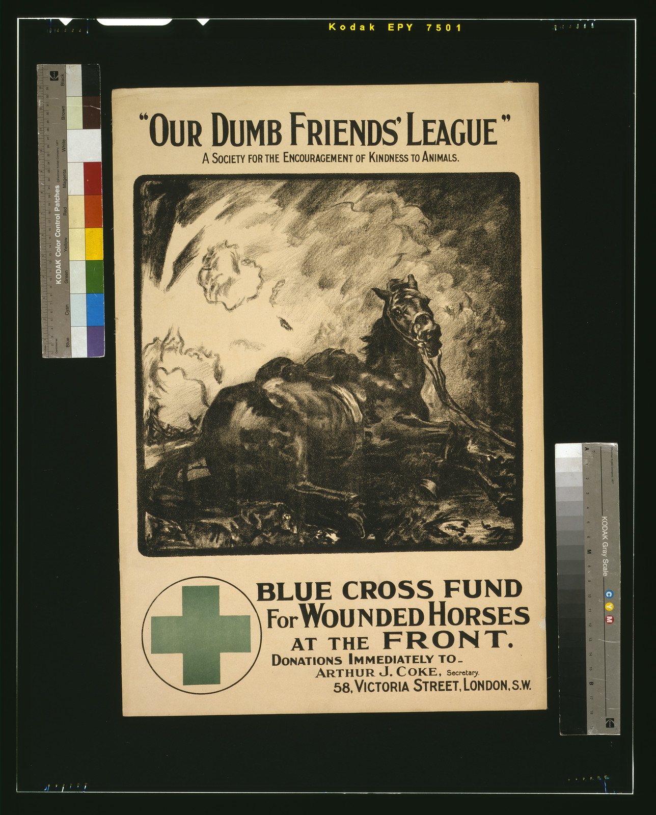 Our Dumb Friends League. A society for the encouragement of kindness to animals. Blue Cross fund for wounded horses at the front, 1915 — vintage poster