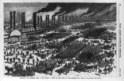 Louisiana - the business boom in the South - a scene on the levee at New Orleans