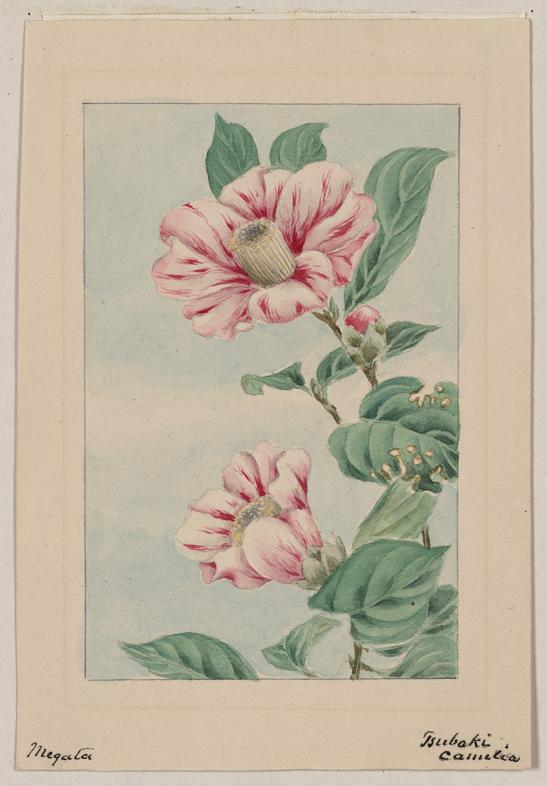 [Japanese drawing], 1750 — historic drawing
