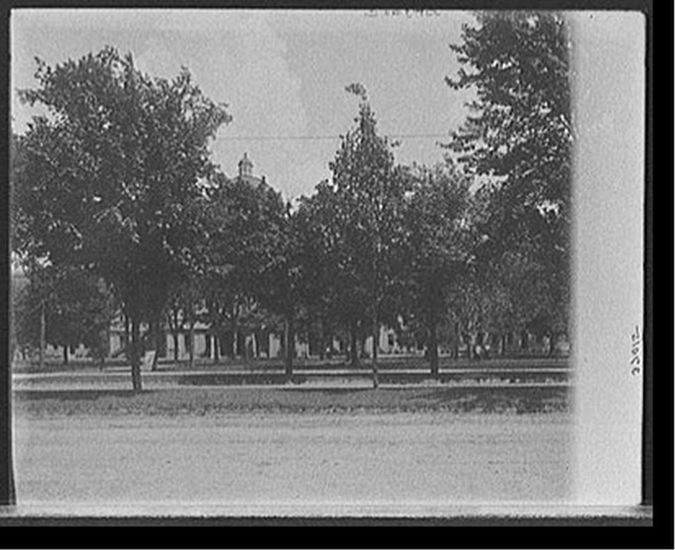 [University of Michigan campus, Ann Arbor, Mich.], [between 1900 and 1910] — historic photograph