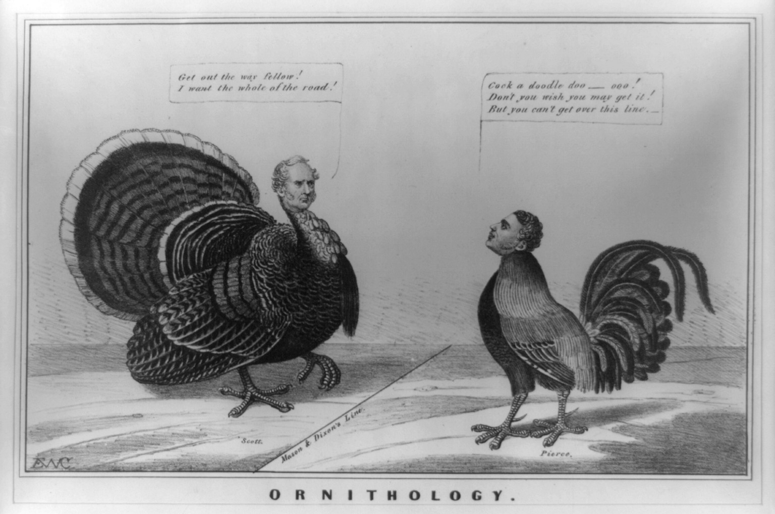 Ornithology, N. York : Published by John Childs, 1852. — antique lithograph