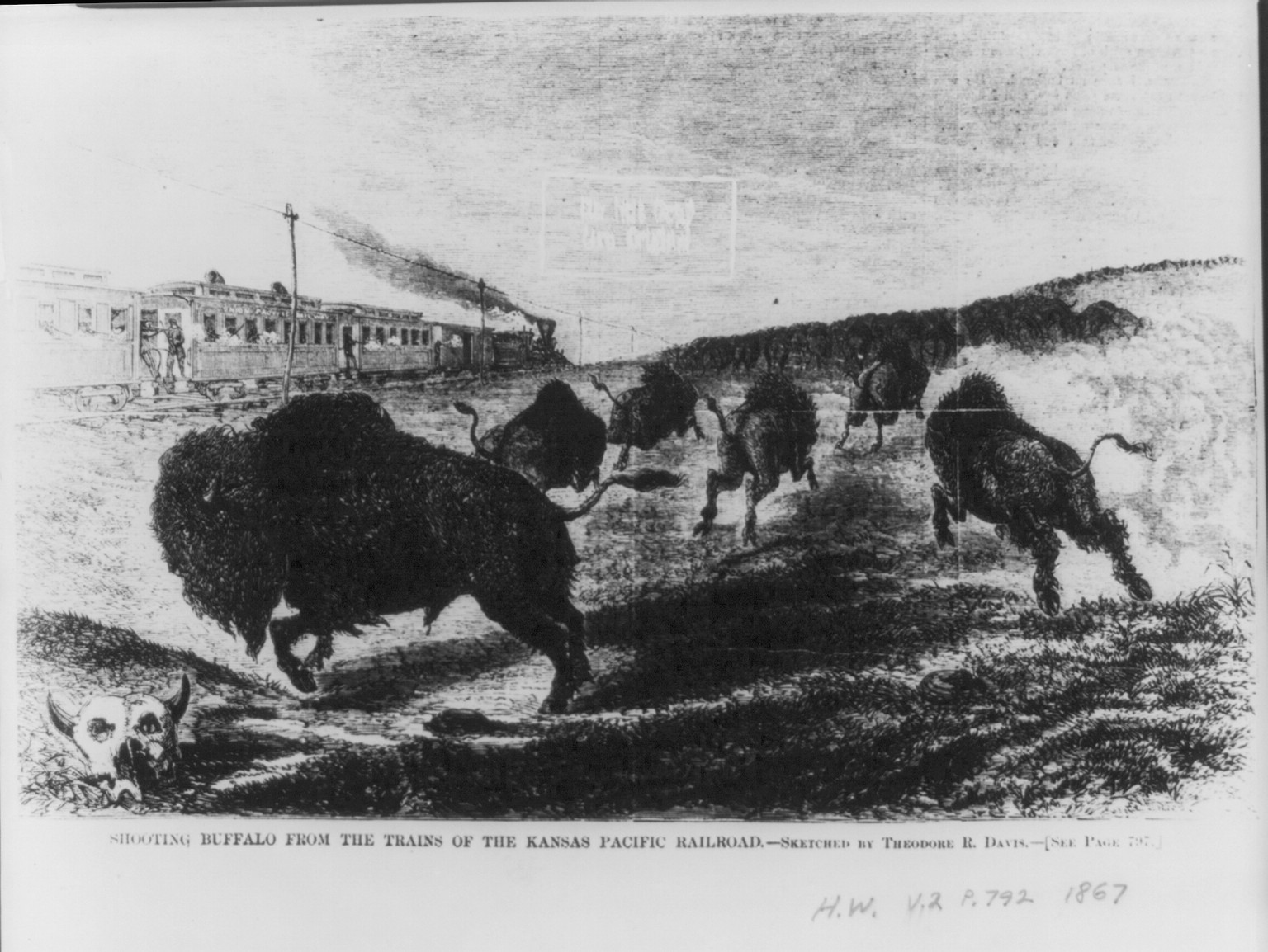 Shooting buffalo from the trains of the Kansas Pacific Railroad, 1867 — antique engraving