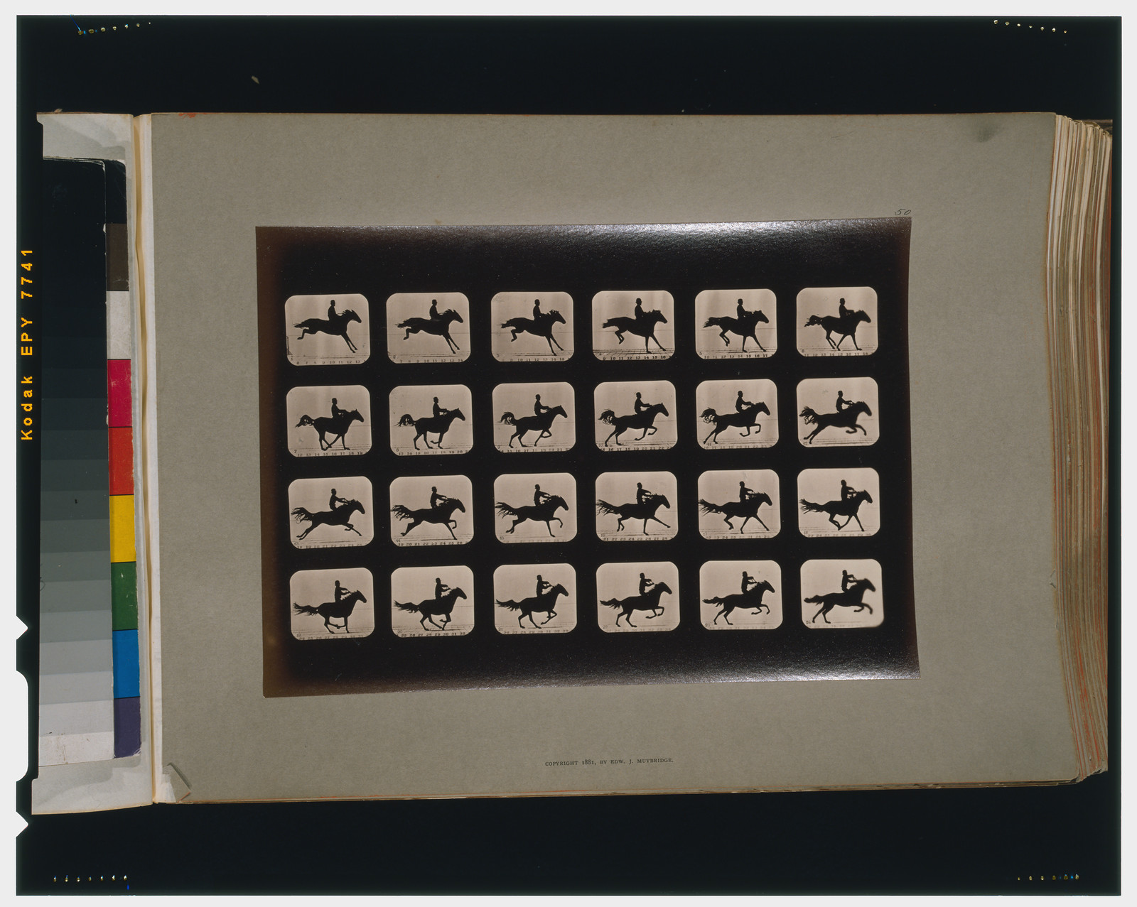 Horses. After leaping a 3 ft. 6 hurdle, [San Francisco] : Muybridge, c1881. — historic photograph