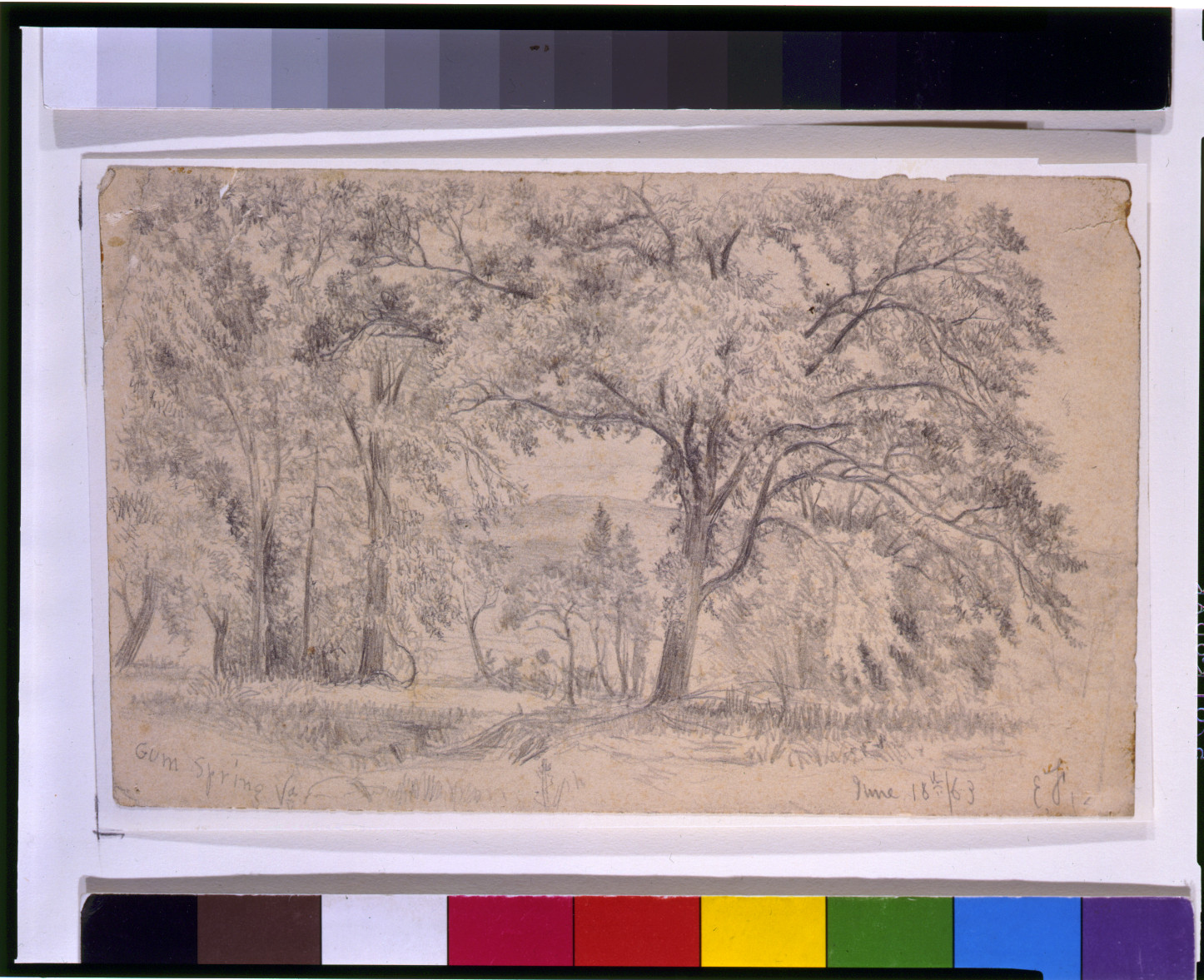 Gum Spring, Va. / EF., 1863 June 18th. — historic drawing