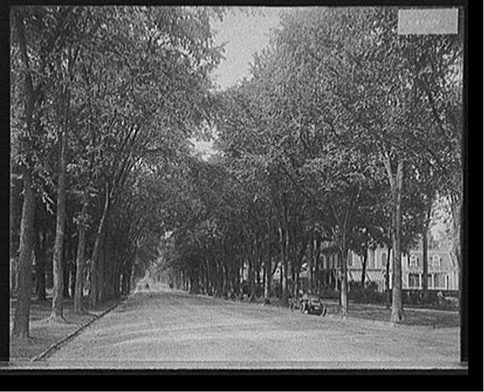 [North Broadway, Saratoga Springs, N.Y.], [between 1900 and 1915] — historic photograph