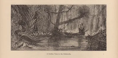 A Sudden Turn in the Ocklawaha