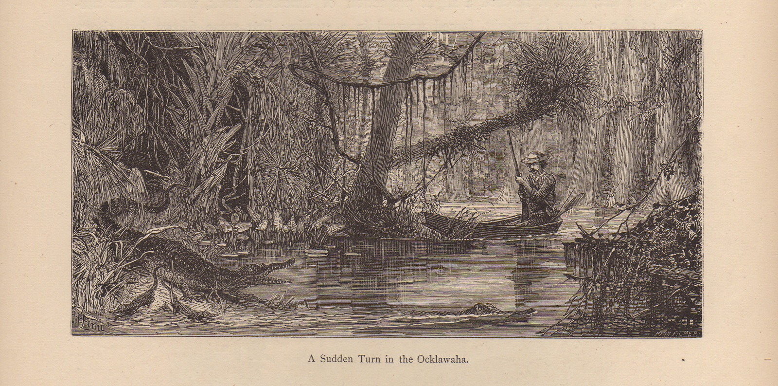 A Sudden Turn in the Ocklawaha — historic image