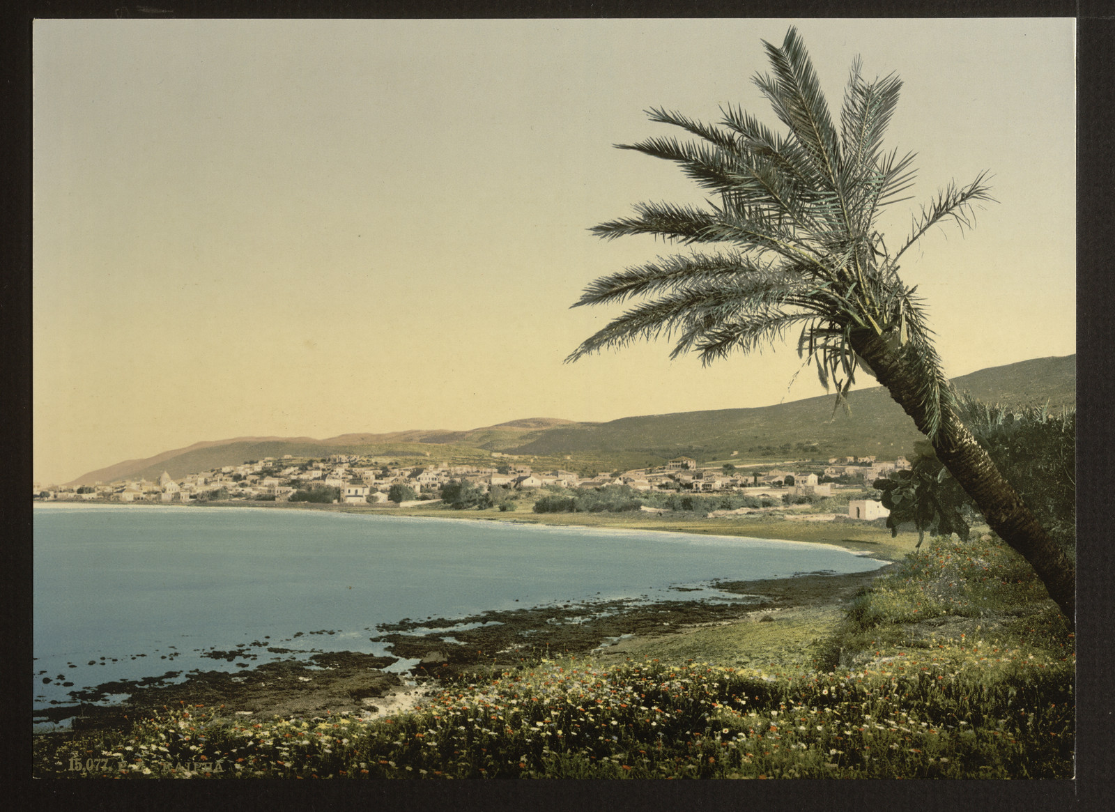 View from near foot of Mount Carmel Chaifa (i.e. Haifa Israel), [between ca. 1890 and ca. 1900]. — historic print