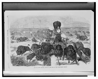 The far west - shooting buffalo on the line of the Kansas-Pacific Railroad / Bghs.