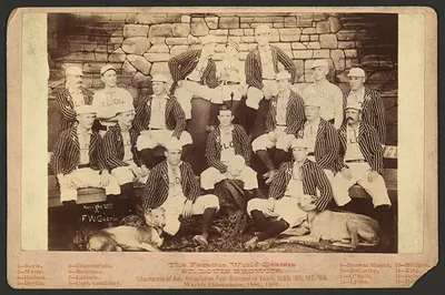 The Famous World Beaters: St. Louis Browns baseball team photograph