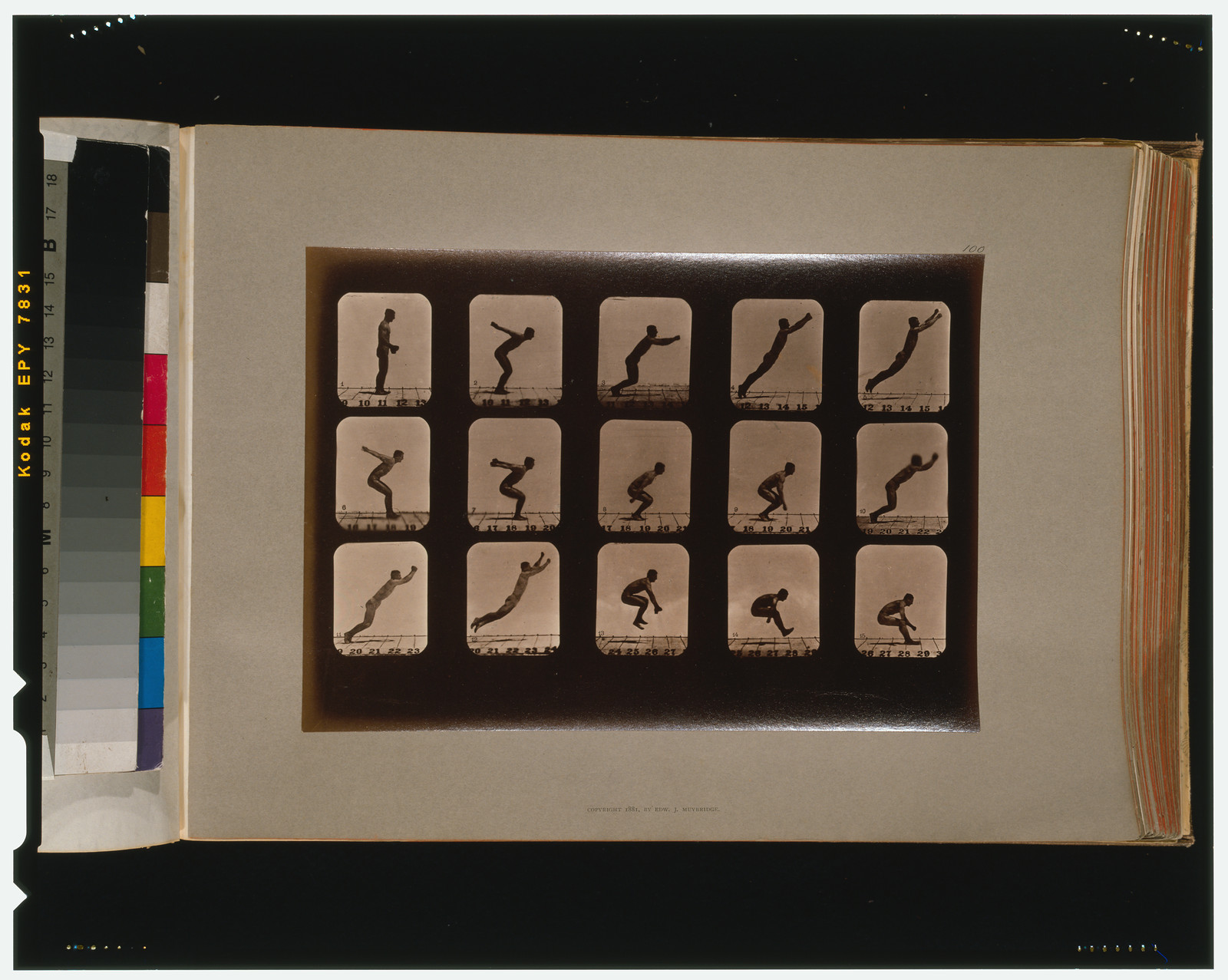 Athletes. Standing leaps, [San Francisco] : Muybridge, c1881. — historic photograph