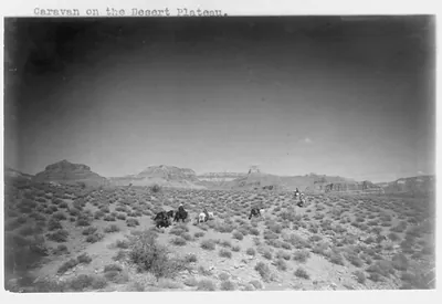 [Grand Canyon and vicinity]: Caravan on the desert plateau
