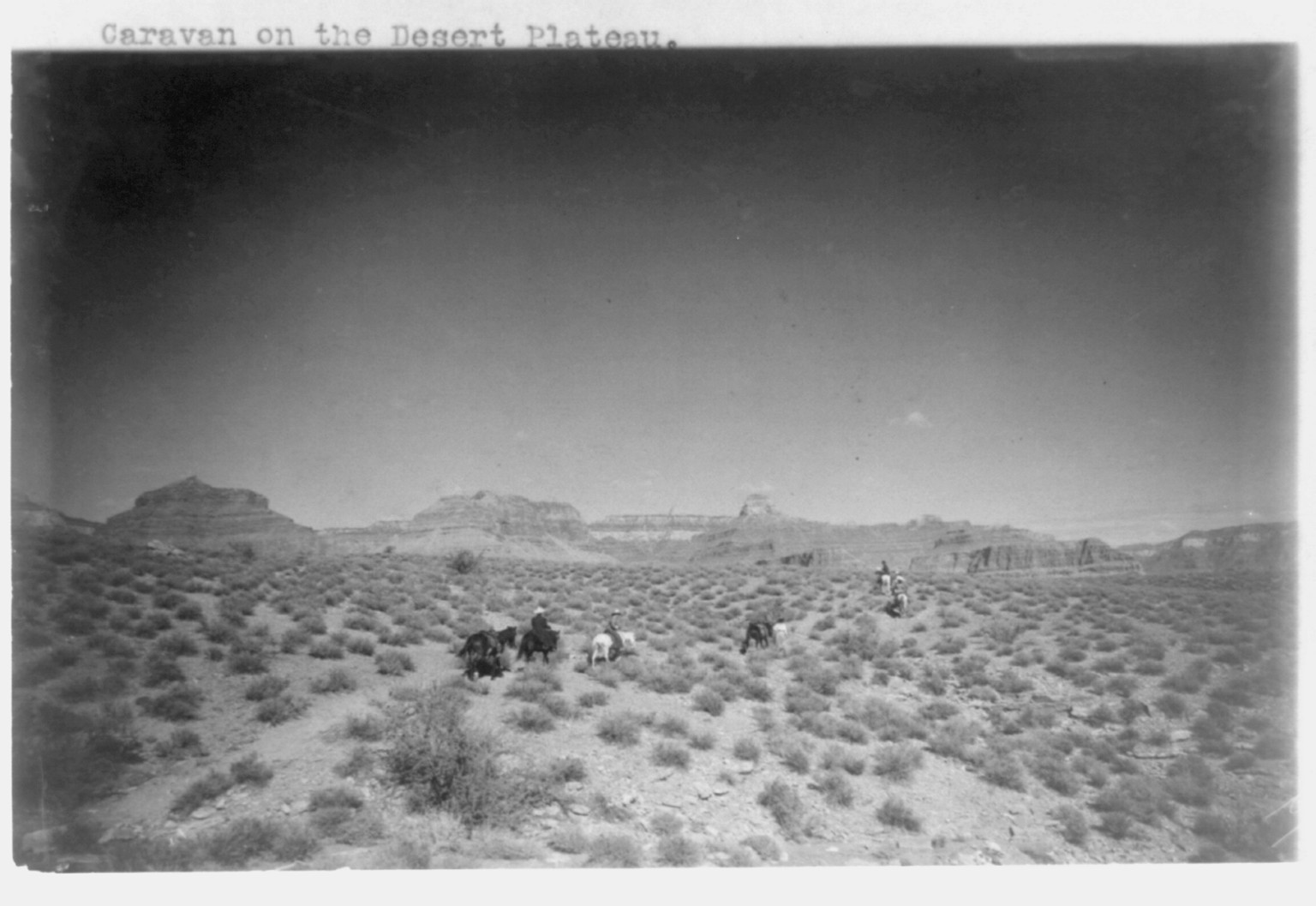 [Grand Canyon and vicinity]: Caravan on the desert plateau, c1906. — historic photograph