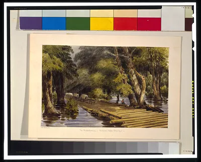 The Chickahominy - Sumners Upper Bridge
