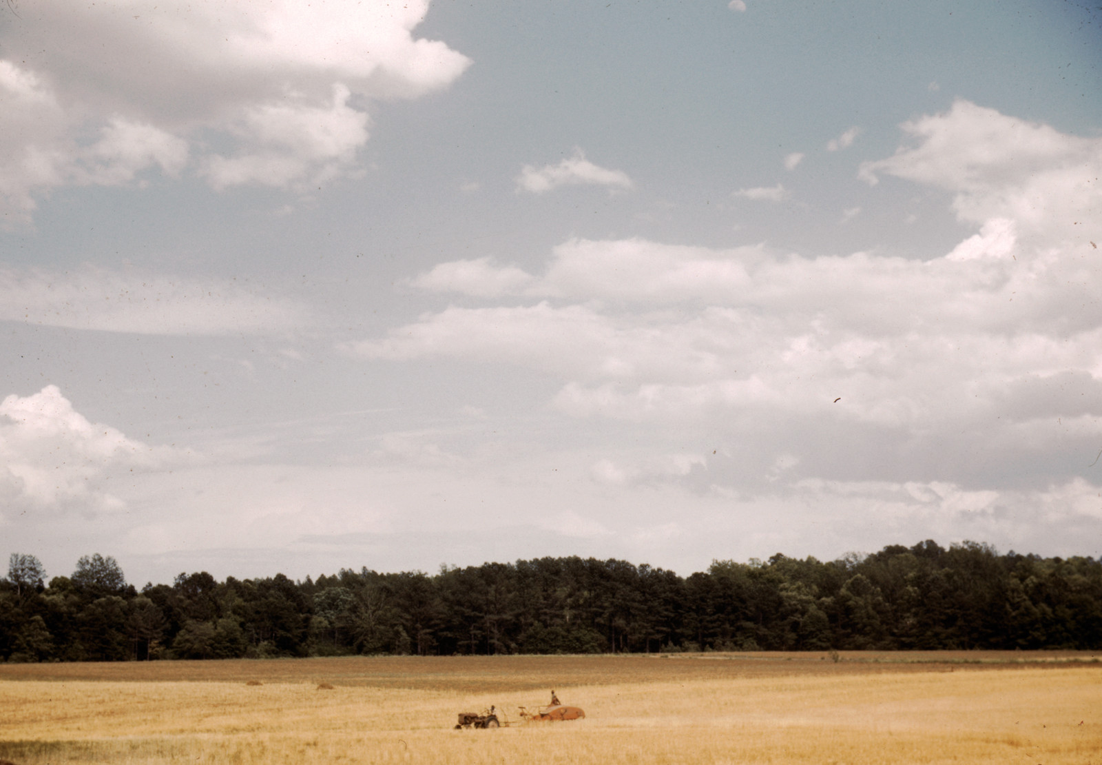 Golden field with small tractor and equipment near trees — historic image