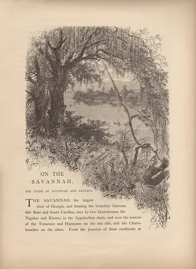 On the Savannah: engraved river scene with trees and Spanish moss