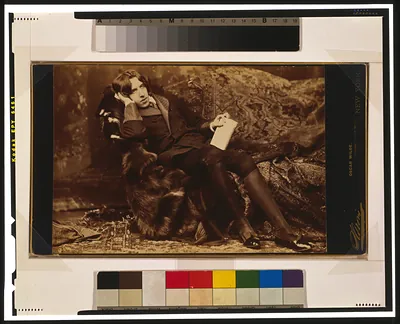 Oscar Wilde / Sarony.
