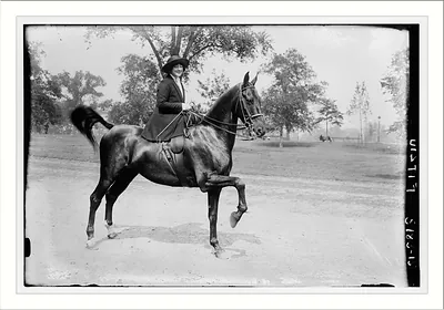 Fitziu on horseback