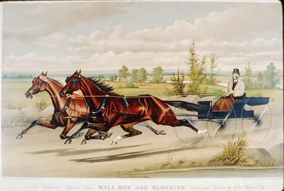 Celebrated Boston team mill boy and Blondine, owned and driven by John Shepard, esq: record 2:22