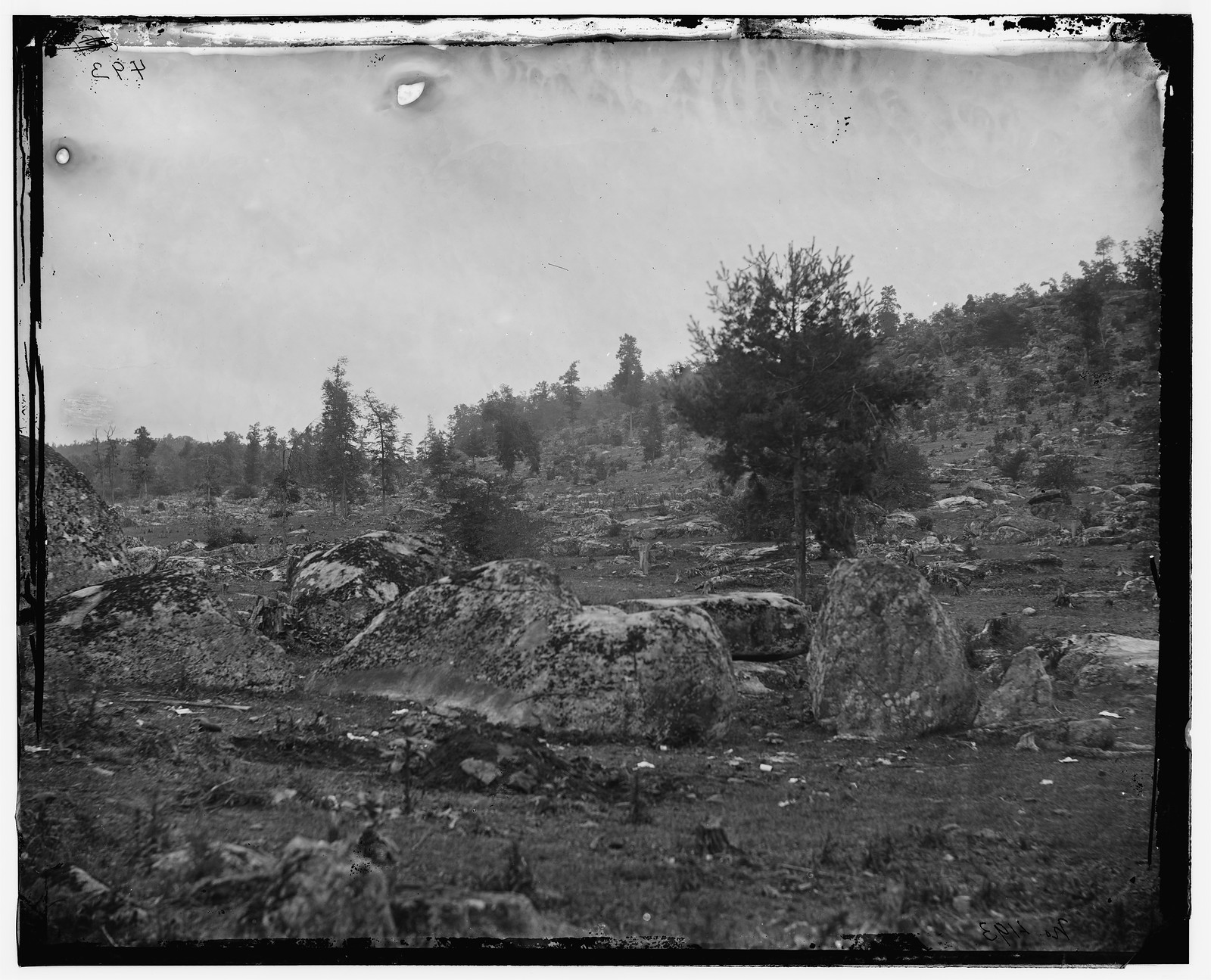 Rocky hillside with boulders and scattered trees, glass-plate photograph — historic photograph