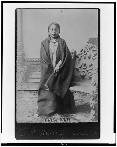 Crow Foot (Sitting Bull's son)