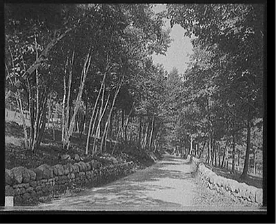 [Lake George, N.Y., road at Silver Bay]