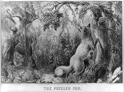 The puzzled fox: find the horse, lamb, wild boar, mens and womens faces
