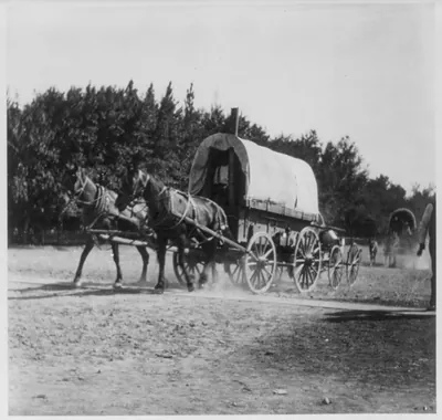 [Pocatello, Idaho land rush, 1903: mule-drawn covered wagons on move]