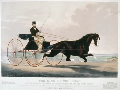 The king of the road: Dexter driven by his owner Mr. Robert Bonner of the New York Ledger at Prospect Park Brooklyn August 31st 1869, trotting a mile to a road wagon. weighing with driver 319 lbs. in the unprecedented time of 2 minutes 21 3/4 seconds