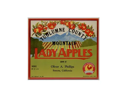 Tuolumne County Mountain Lady Apples crate label