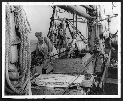 Fisherman on a trawler off the Georges