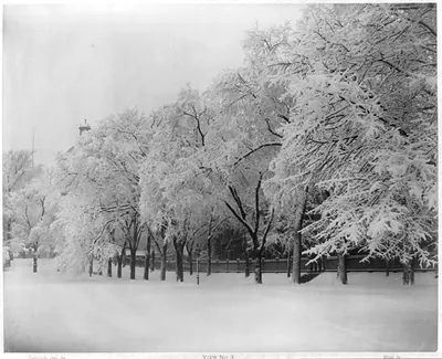 Snow Scene on Boston Common on the Morning of February 29, 1884: View No. 3""