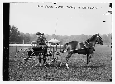 John Schiff & Mrs. Phipps' "Mighty Adam"