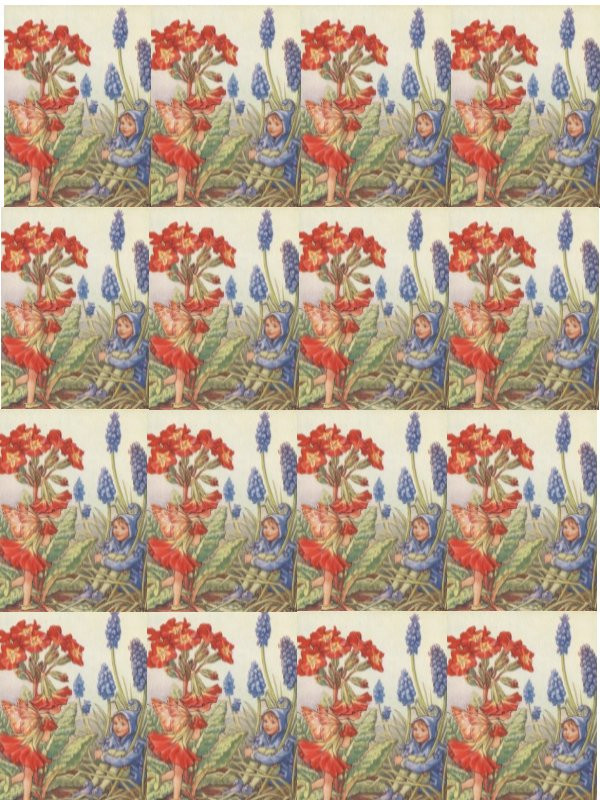 Repeated flower fairy pattern with red primulas and grape hyacinths — historic image