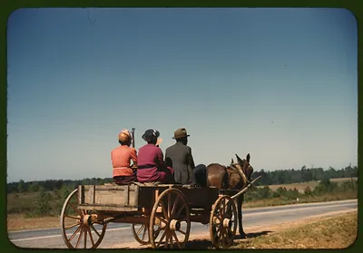 Three people riding a mule-drawn wagon on a country road