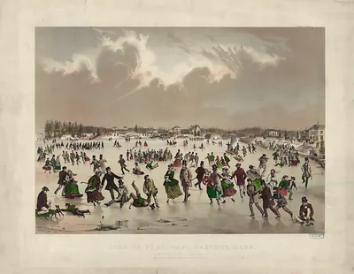 Jamaica Pond, West Roxbury, Mass. / lithog. & published by J.H. Bufford, Boston.