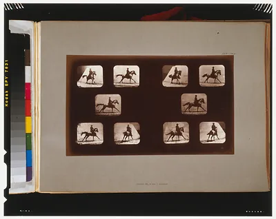 Eadweard Muybridge horse and rider motion study plate