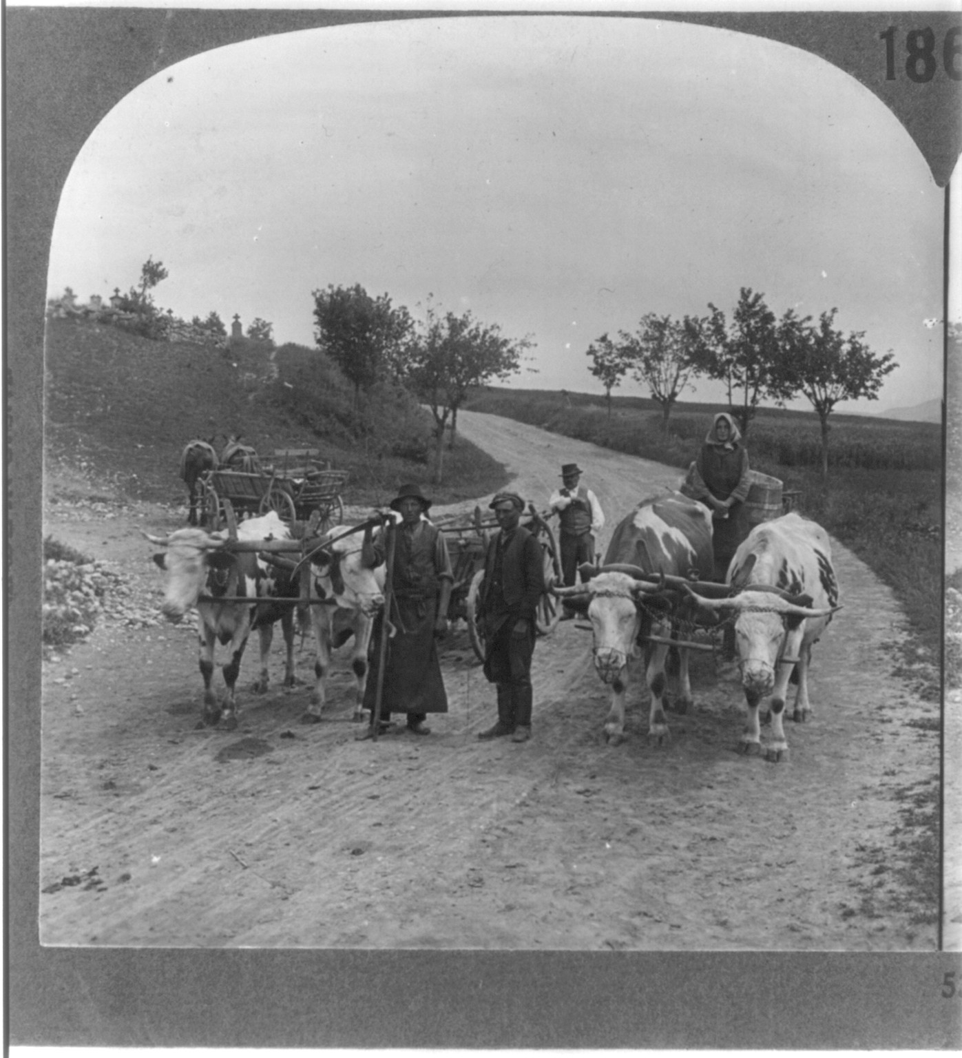 Primitive methods of transportation still prevailing in rural Hungary, c1930 June 30. — historic photograph