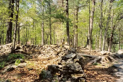 Stone walls in a wooded hillside