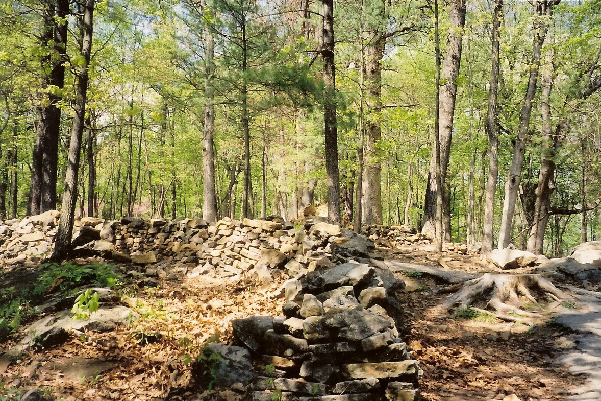 Stone walls in a wooded hillside — historic image