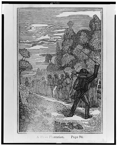 A slave plantation