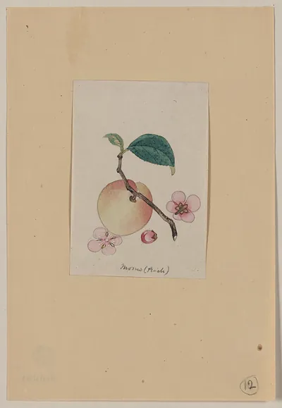 [Japanese drawing]