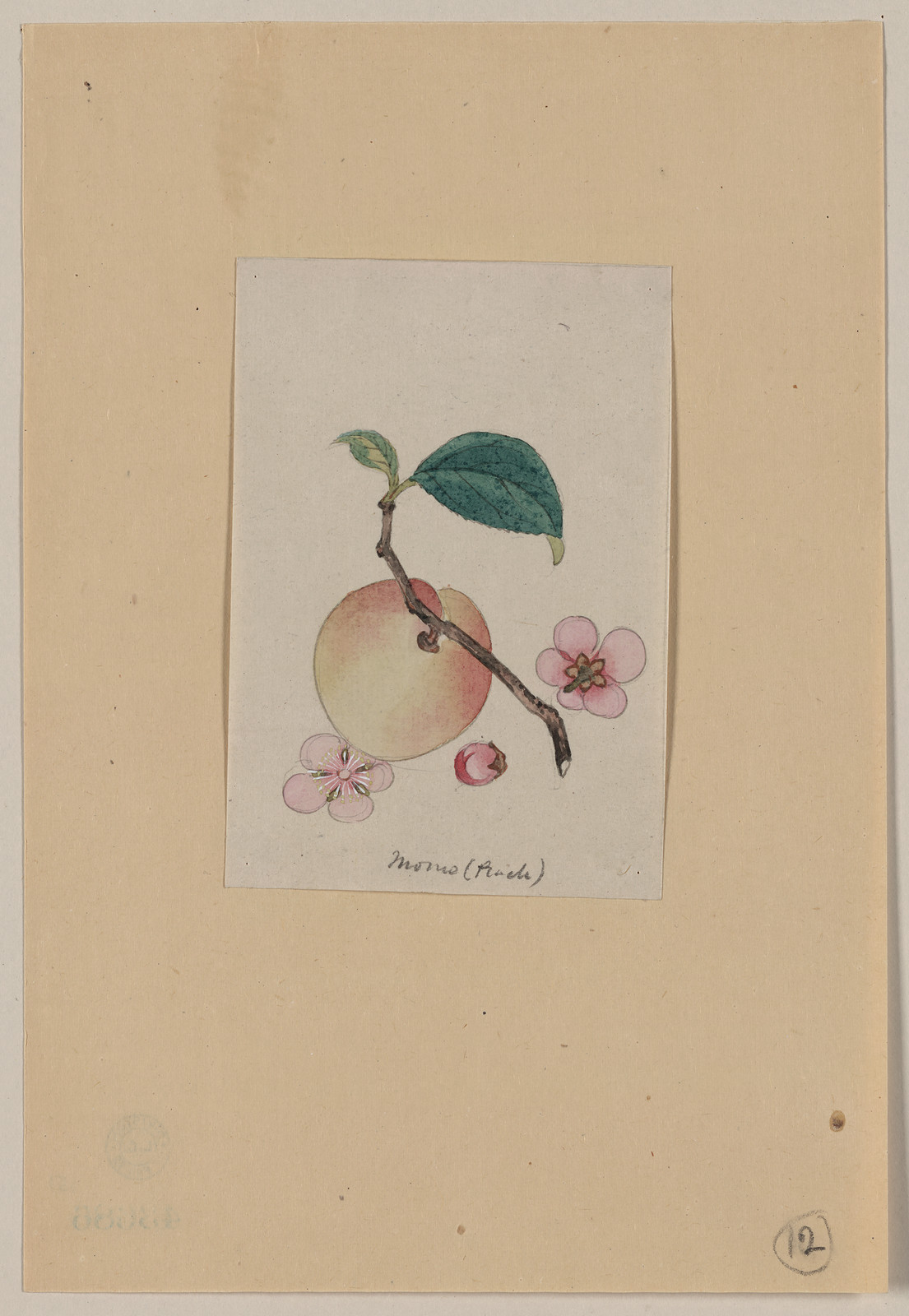 [Japanese drawing], 1750 — historic drawing